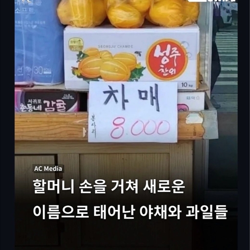 피드 이미지