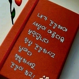 피드에 업로드 된 이미지