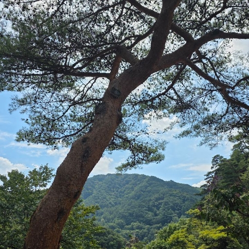 피드 이미지
