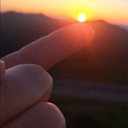 피드 이미지