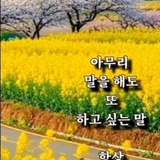 피드 이미지