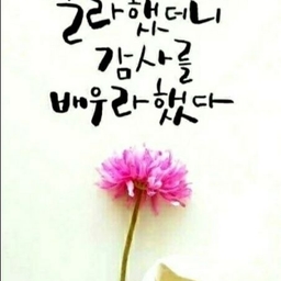 피드에 업로드 된 이미지