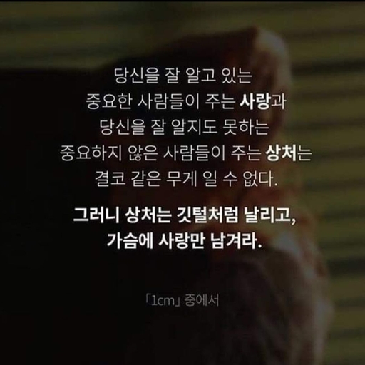 피드 이미지