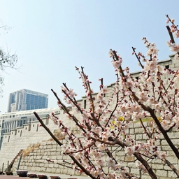 피드에 업로드 된 이미지