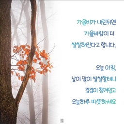 피드에 업로드 된 이미지