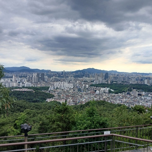 피드 이미지