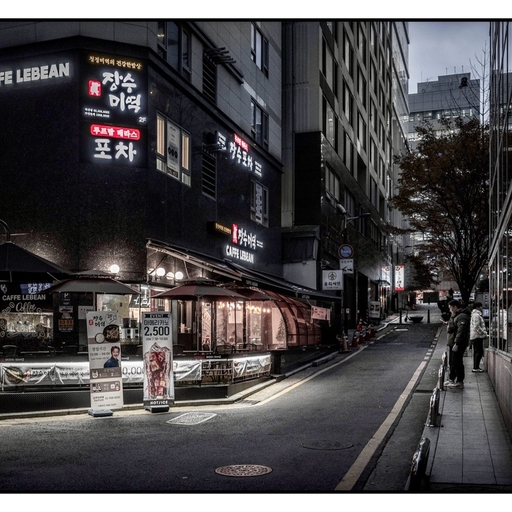 피드 이미지