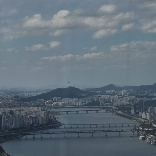 피드 이미지