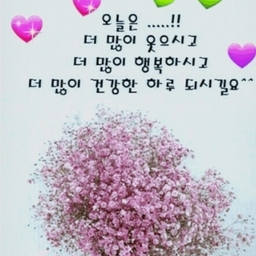 피드에 업로드 된 이미지