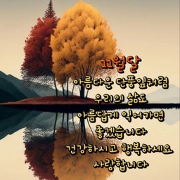 피드에 업로드 된 이미지