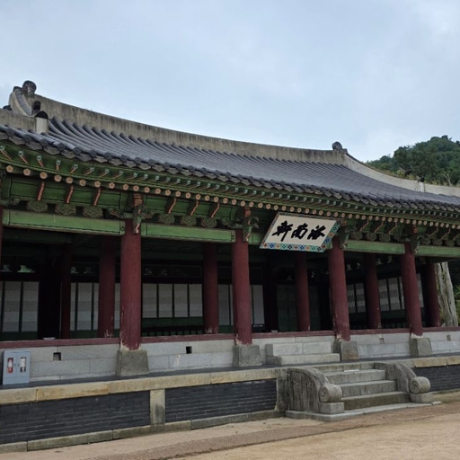 피드 이미지
