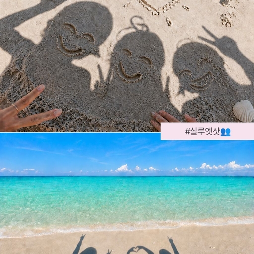 피드 이미지