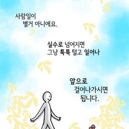 피드에 업로드 된 이미지