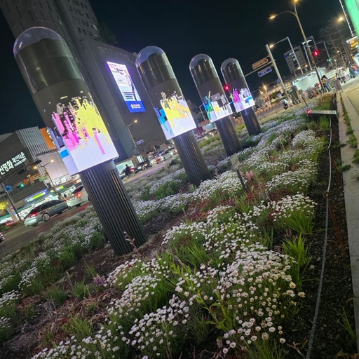 피드 이미지