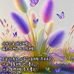 피드에 업로드 된 이미지