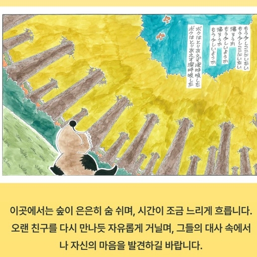 피드 이미지