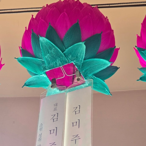 피드 이미지