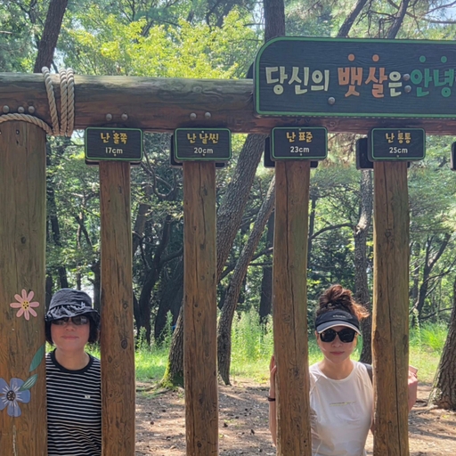 피드 이미지