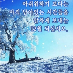 피드에 업로드 된 이미지
