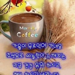 피드에 업로드 된 이미지