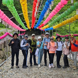 피드에 업로드 된 이미지