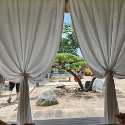 피드에 업로드 된 이미지