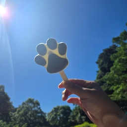 피드에 업로드 된 이미지