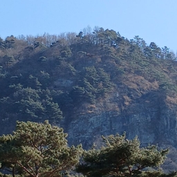 피드에 업로드 된 이미지