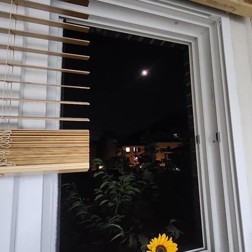피드 이미지