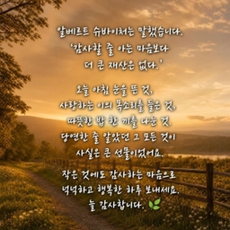 피드에 업로드 된 이미지