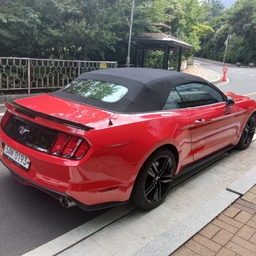 피드에 업로드 된 이미지