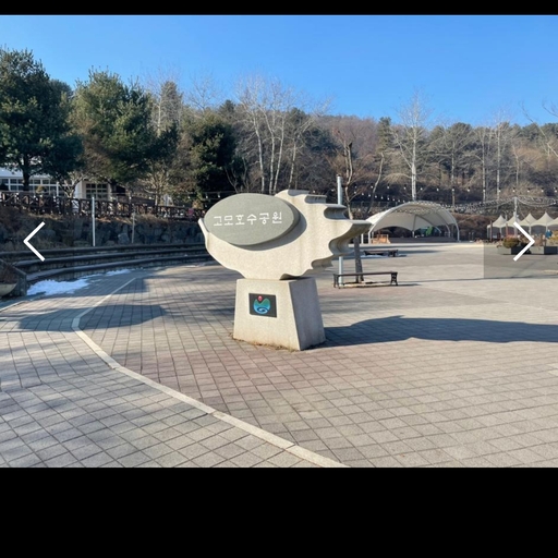 피드 이미지