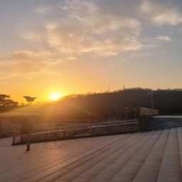 피드에 업로드 된 이미지