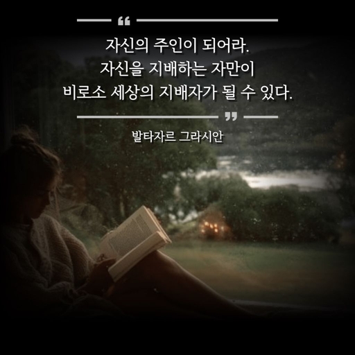 피드 이미지