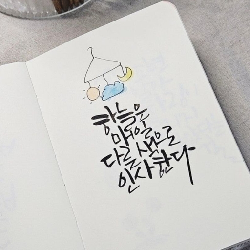 피드 이미지