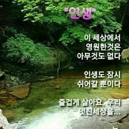 피드 이미지