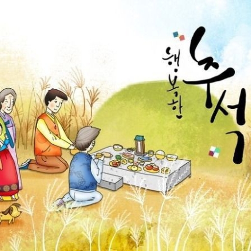 피드 이미지