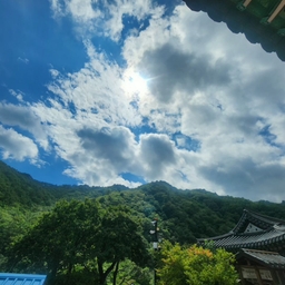 피드에 업로드 된 이미지