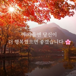 피드에 업로드 된 이미지
