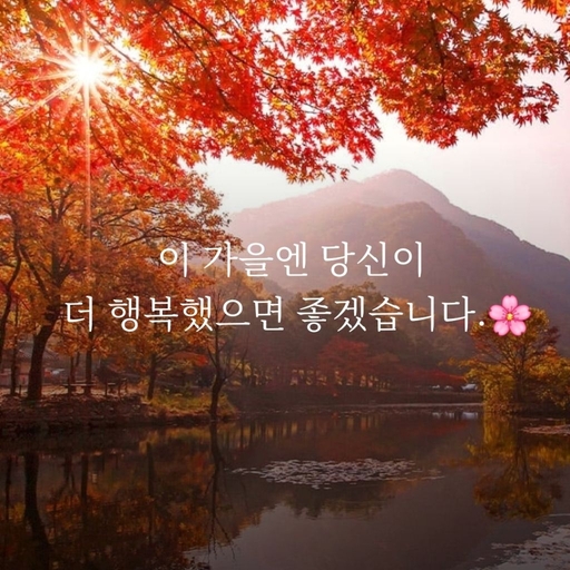 피드 이미지