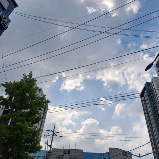 피드 이미지