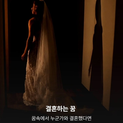 피드 이미지