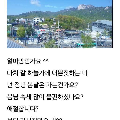 피드 이미지