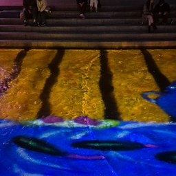 피드에 업로드 된 이미지