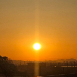 피드에 업로드 된 이미지