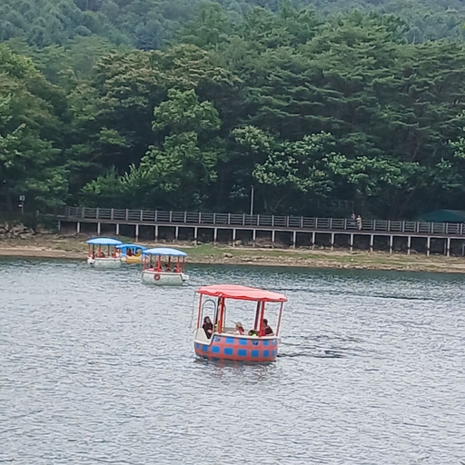 피드 이미지