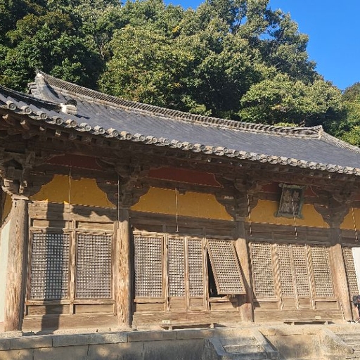 피드 이미지