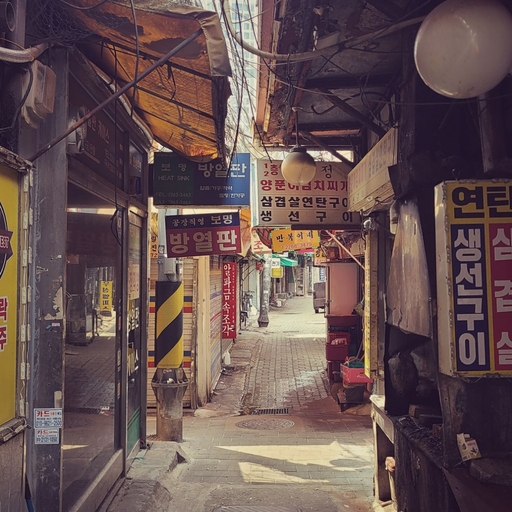 피드 이미지