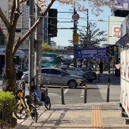 피드에 업로드 된 이미지