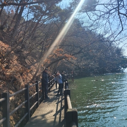 피드에 업로드 된 이미지